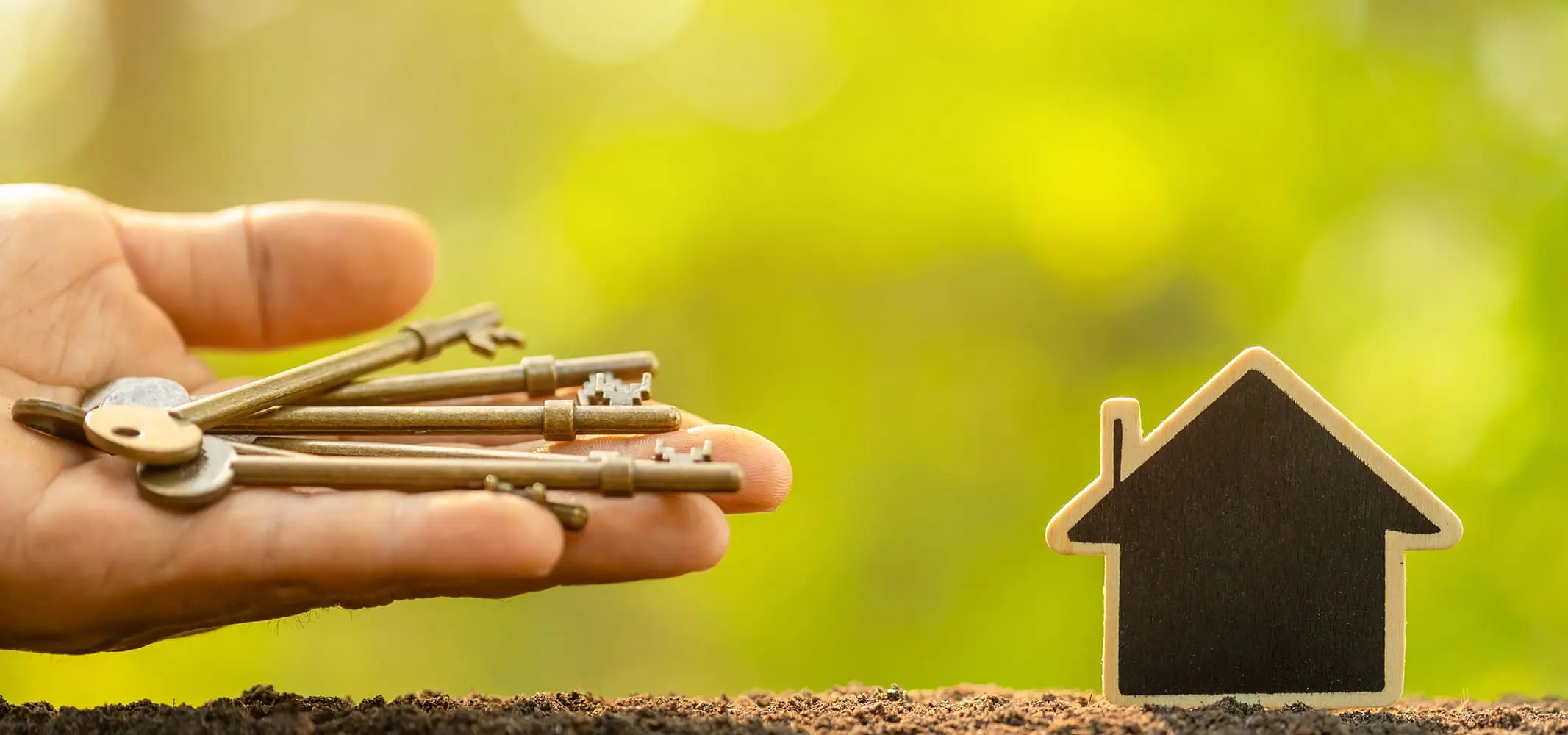 Property Management
