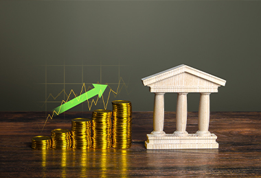 Government and Public Sector Banking